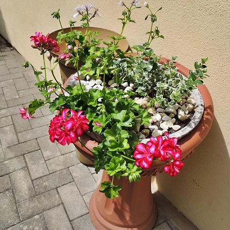 Ferienwohnung Goethe Bernkastel-Kues Ngoại thất bức ảnh
