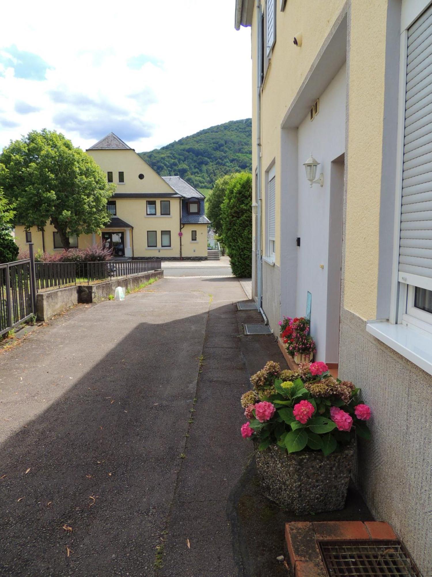 Ferienwohnung Goethe Bernkastel-Kues Ngoại thất bức ảnh